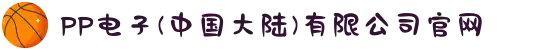 PP电子(中国大陆)有限公司官网